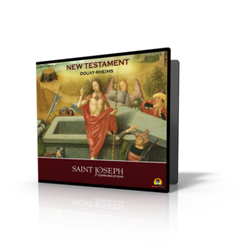 Douay Rheims New Testament on CD -14CD